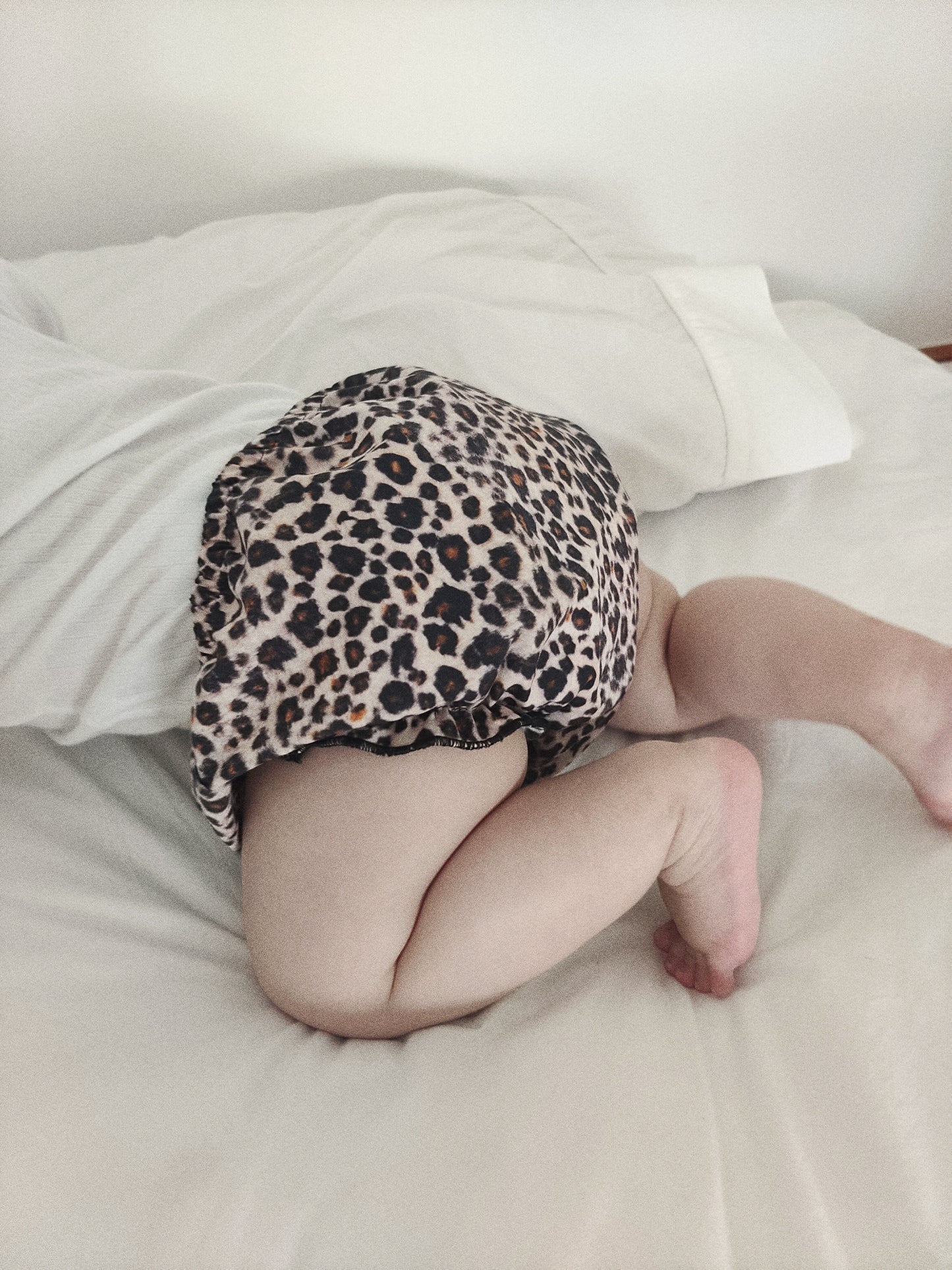 enzo bloomers